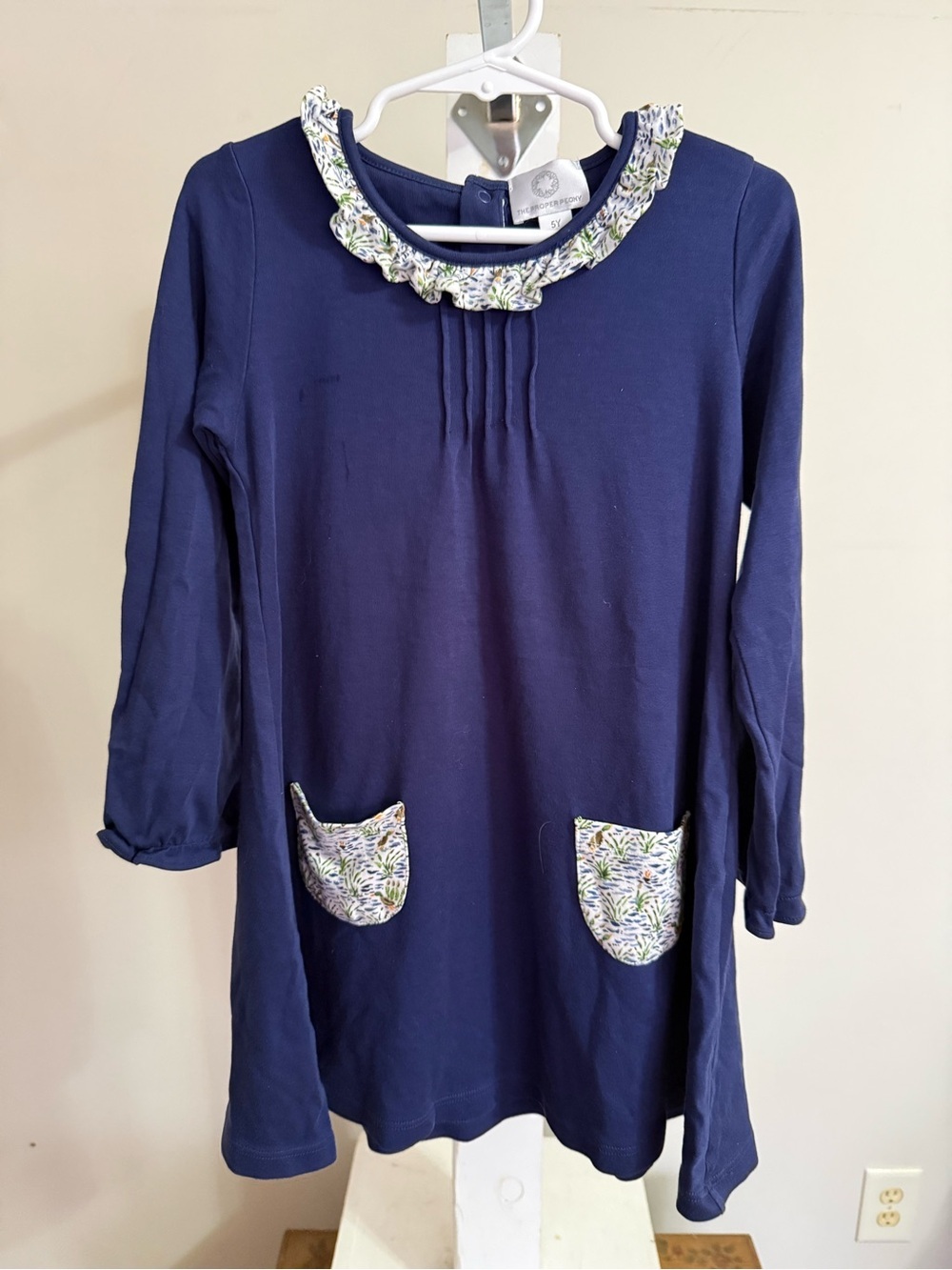 The Proper Peony Parkside Pima Fall Ducks Pocket Dress